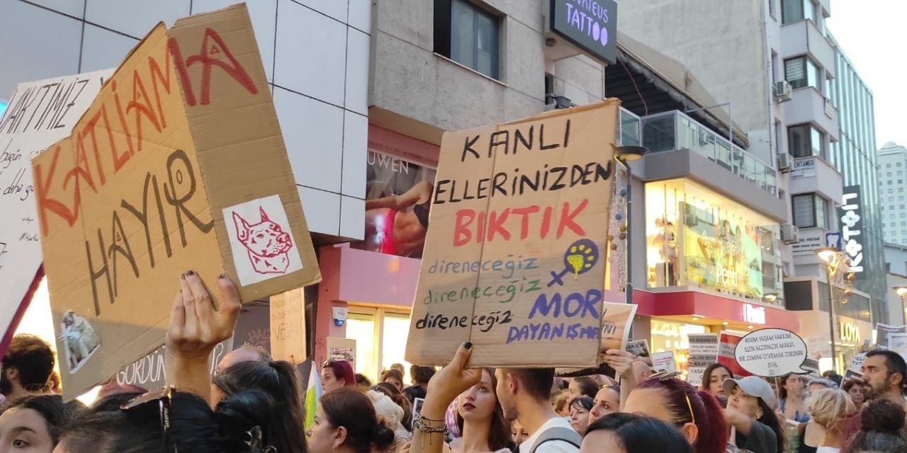 İzmir’de hayvan hakları savunucuları Ankara’ya doğru yola çıktı